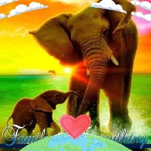 Meet your Posher, Merilee